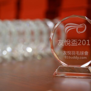 BuddyCup2015 (05)